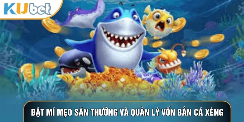 Bật mí mẹo săn thưởng và quản lý vốn bắn cá xèng