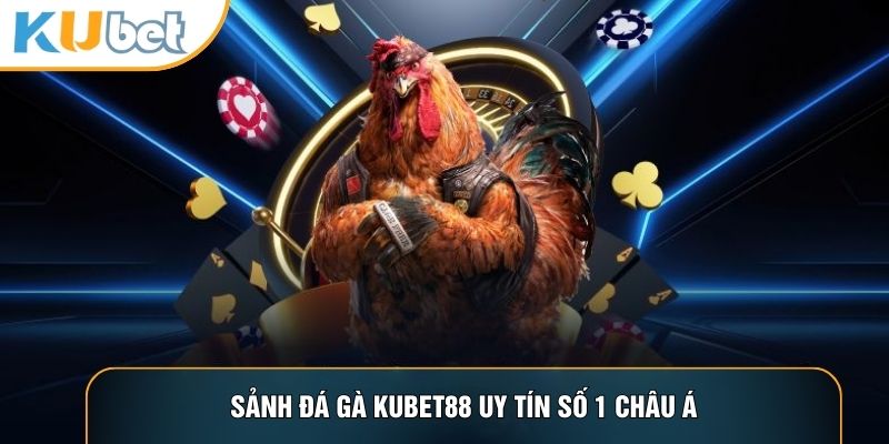 Sảnh Đá gà KUBET88 uy tín số 1 châu Á